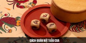 cách đoán mặt bầu cua