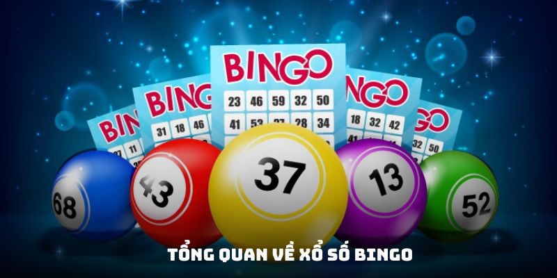Đôi điều về xổ số Bingo thú vị