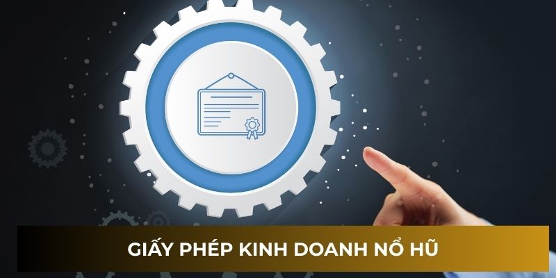 Giấy phép kinh doanh NOHU