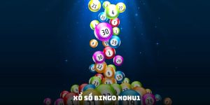 xổ số bingo
