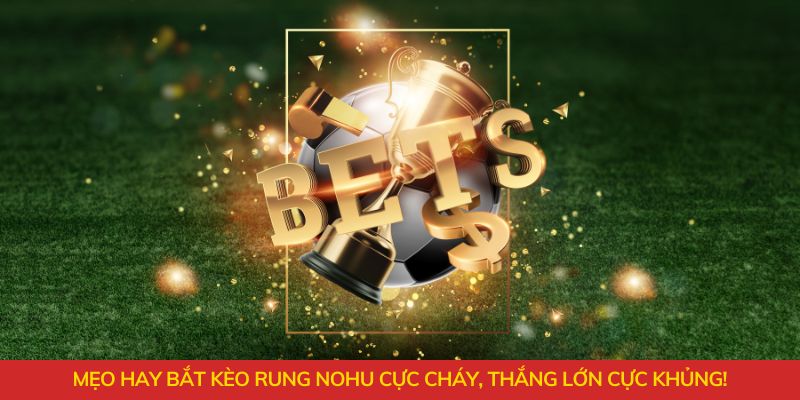 Mẹo hay bắt kèo rung là gì cực cháy, thắng lớn cực khủng!