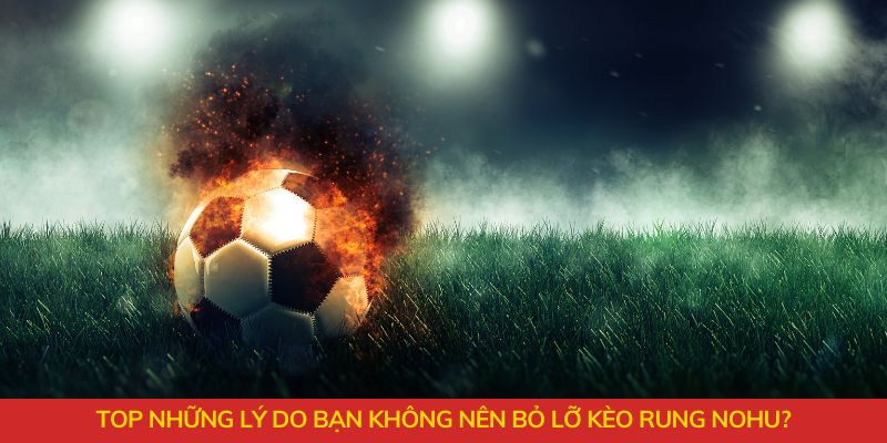 Top những lý do bạn không nên bỏ lỡ?