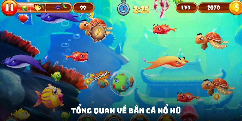 Vài nét cơ bản xoay quanh bắn cá nổ hũ